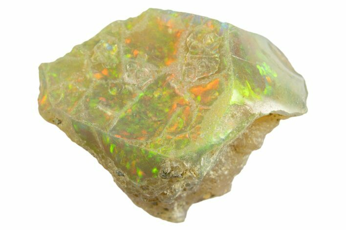 Brilliant Precious Ethiopian Fire Opal ( grams) #333505